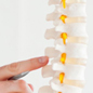 Chiropractic Chiropractic